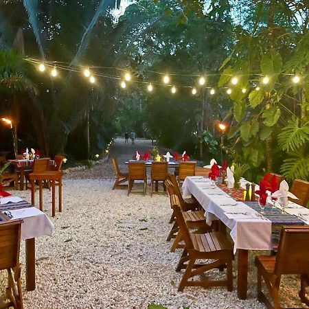 Mariposa Jungle Lodge San Ignacio Eksteriør bilde