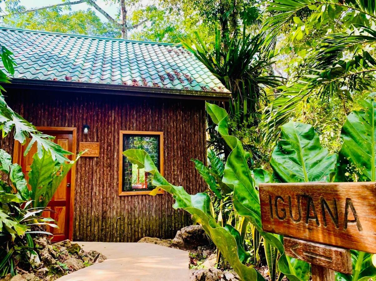 Mariposa Jungle Lodge San Ignacio Eksteriør bilde
