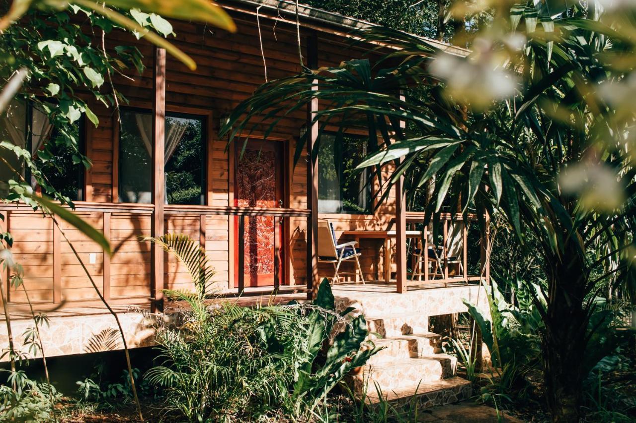 Mariposa Jungle Lodge San Ignacio Eksteriør bilde