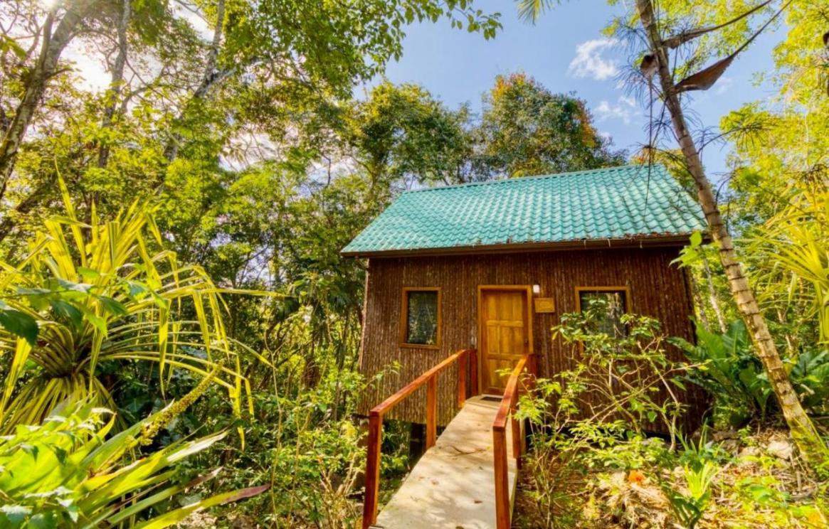 Mariposa Jungle Lodge San Ignacio Eksteriør bilde