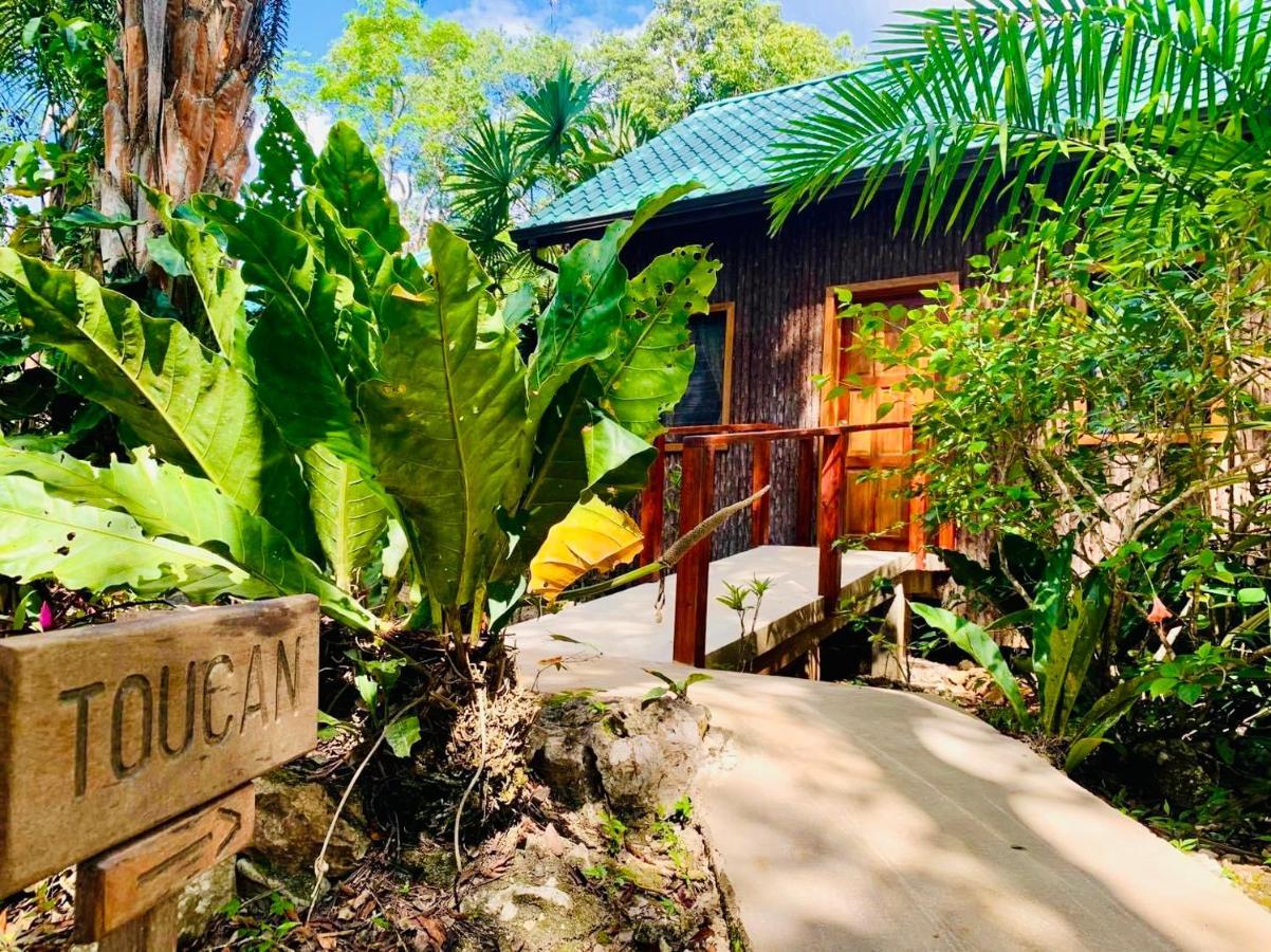 Mariposa Jungle Lodge San Ignacio Eksteriør bilde