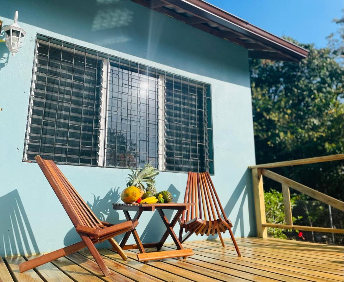 Mariposa Jungle Lodge San Ignacio Eksteriør bilde