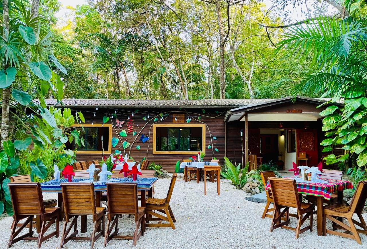 Mariposa Jungle Lodge San Ignacio Eksteriør bilde