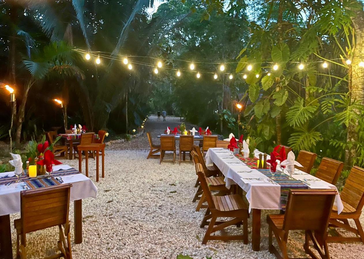 Mariposa Jungle Lodge San Ignacio Eksteriør bilde