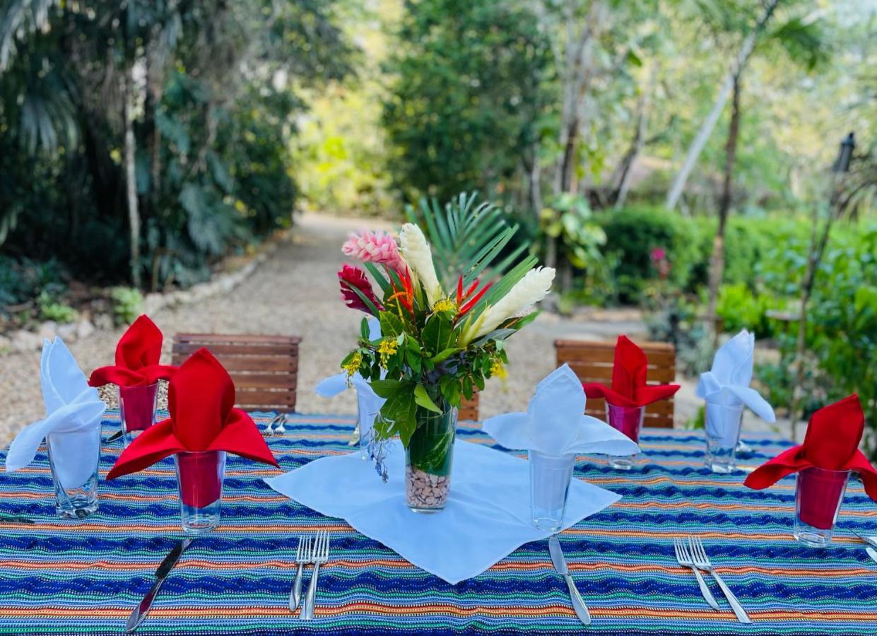 Mariposa Jungle Lodge San Ignacio Eksteriør bilde