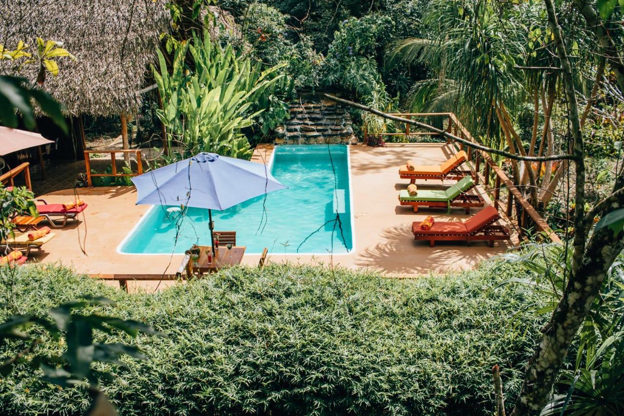 Mariposa Jungle Lodge San Ignacio Eksteriør bilde